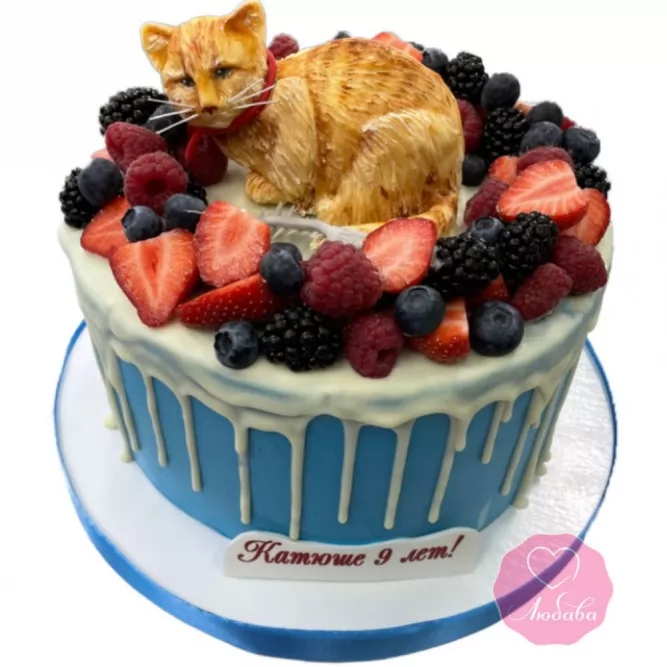 Торт кот №3257