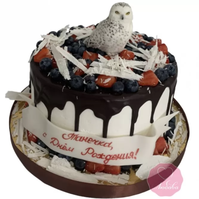 Торт сова №3301