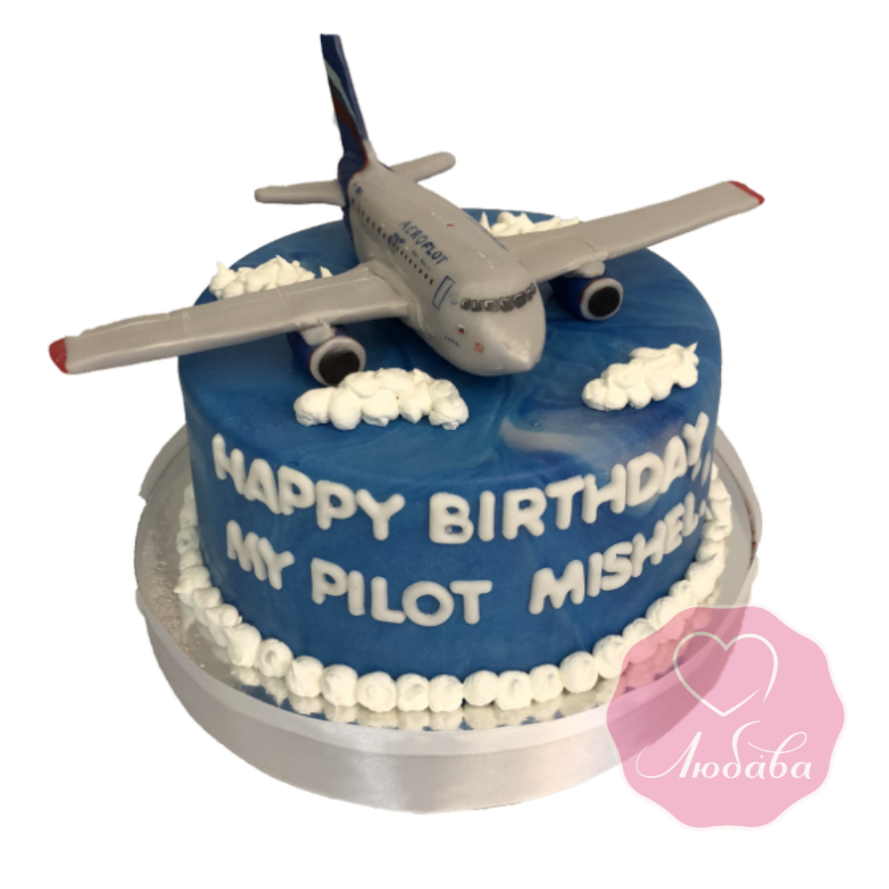 Торт на день рождения самолет №1866